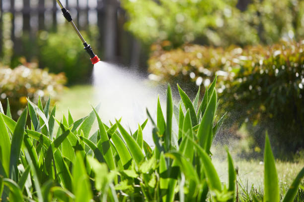 24/7 Emergency Rodent Control experts in Pomeroy, OH