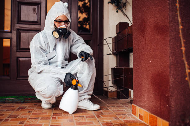Reliable Rodent Control contractor in Pomeroy, OH by Nex Pest Control