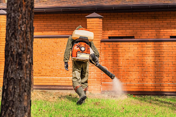 Top rated local Rodent Control specialists in Pomeroy, OH